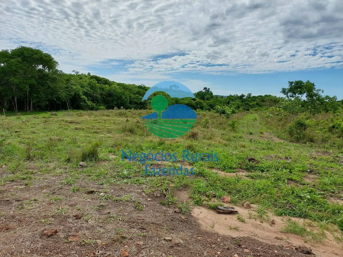 Fazenda à venda de 638 ha em Paranã, TO, Brasil