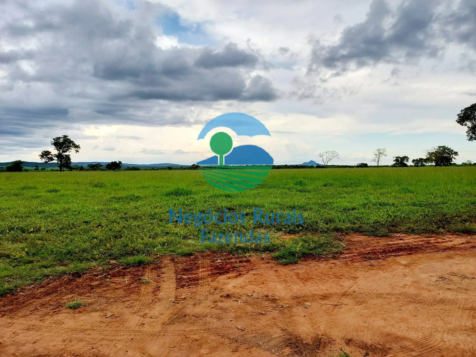 Fazenda à venda de 638 ha em Paranã, TO, Brasil