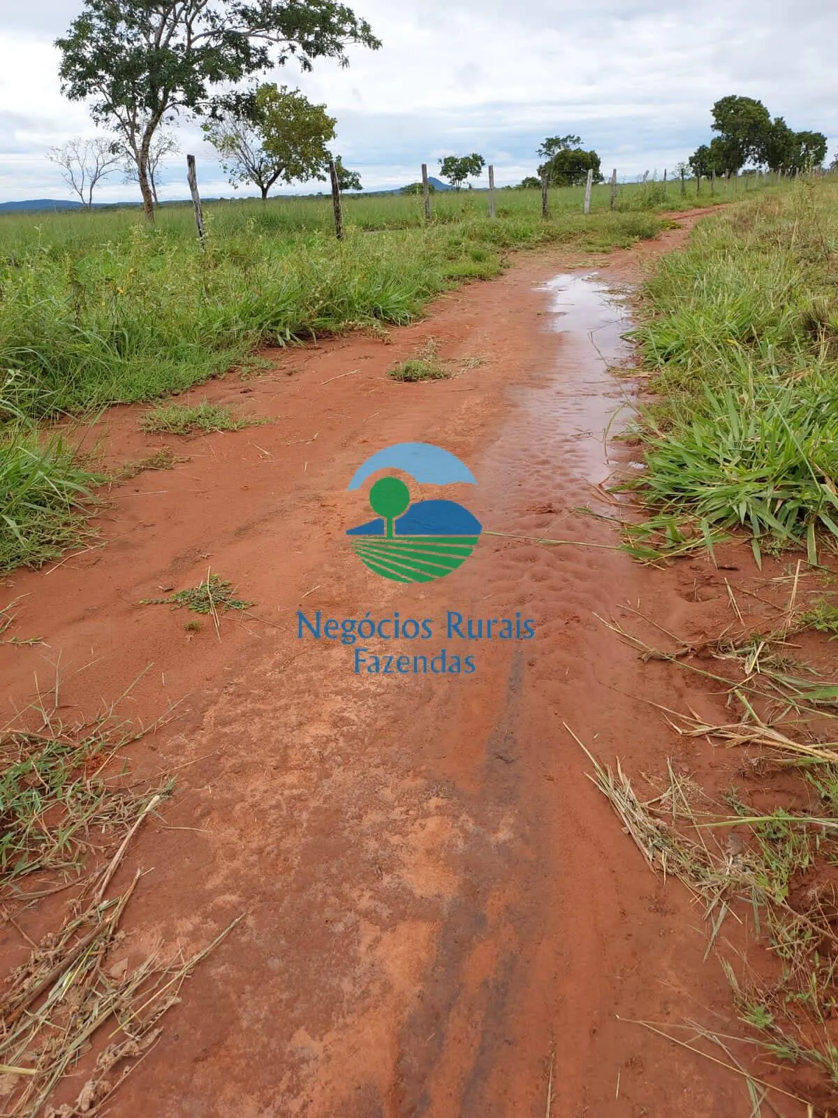 Fazenda à venda de 638 ha em Paranã, TO, Brasil