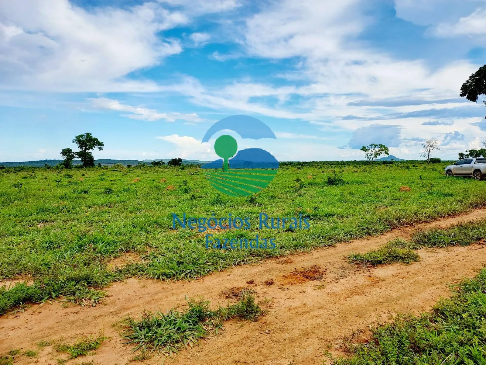 Fazenda à venda de 638 ha em Paranã, TO, Brasil