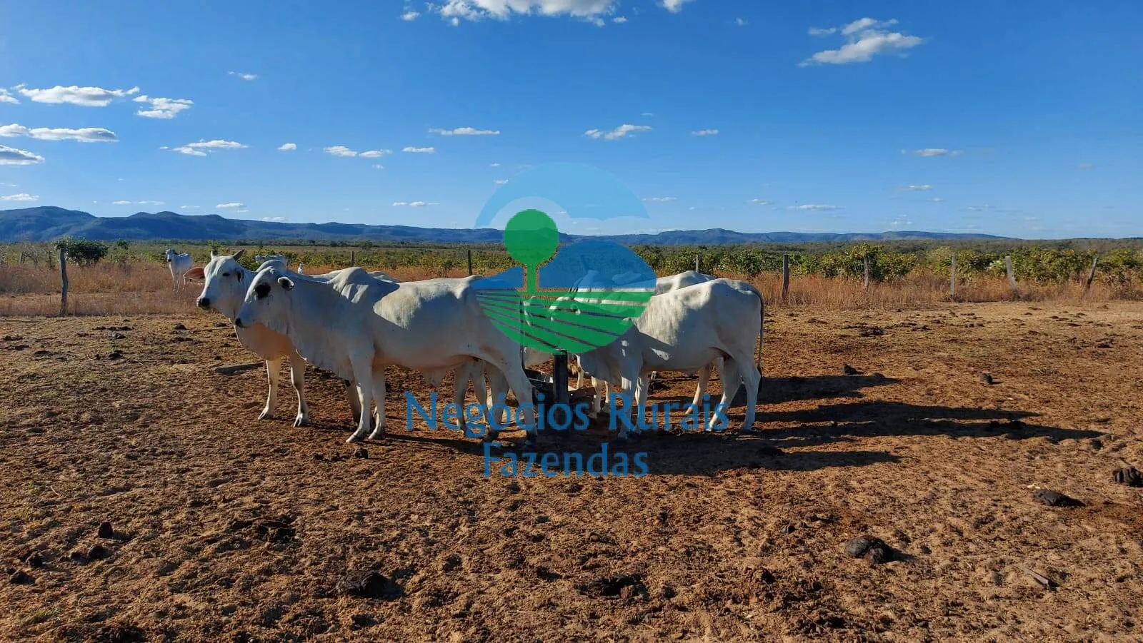 Fazenda à venda de 638 ha em Paranã, TO, Brasil