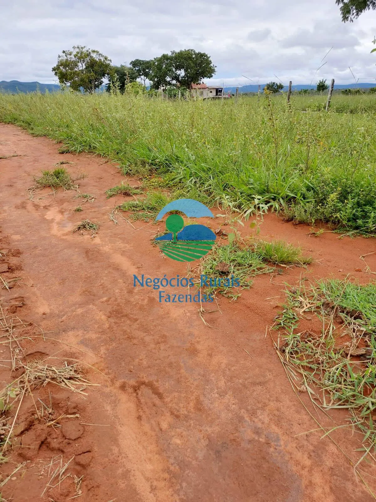 Fazenda à venda de 638 ha em Paranã, TO, Brasil
