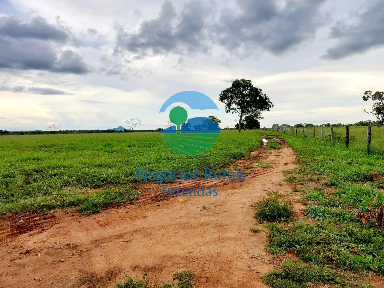 Fazenda à venda de 638 ha em Paranã, TO, Brasil
