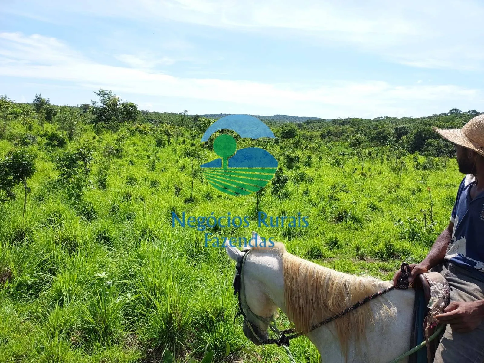 Fazenda à venda de 638 ha em Paranã, TO, Brasil