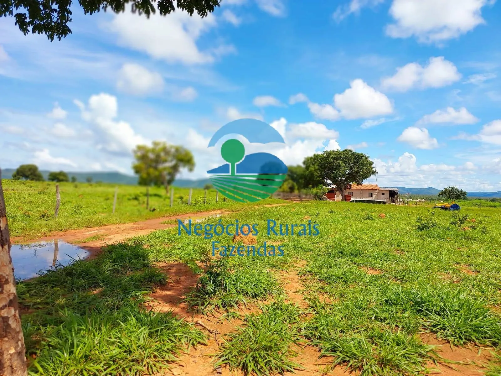 Fazenda à venda de 638 ha em Paranã, TO, Brasil