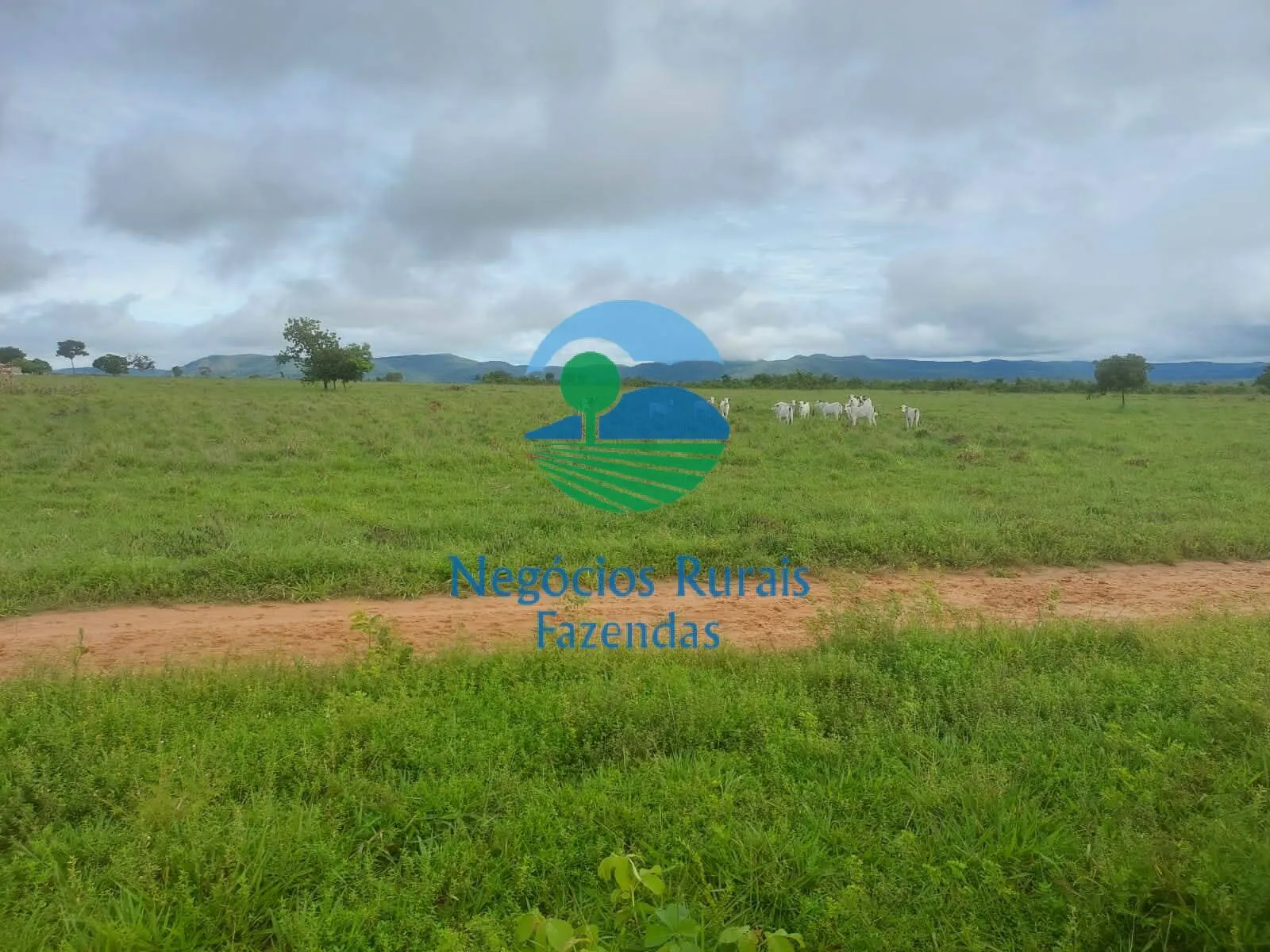 Fazenda à venda de 638 ha em Paranã, TO, Brasil