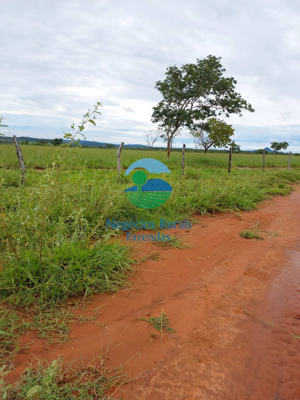 Fazenda à venda de 638 ha em Paranã, TO, Brasil