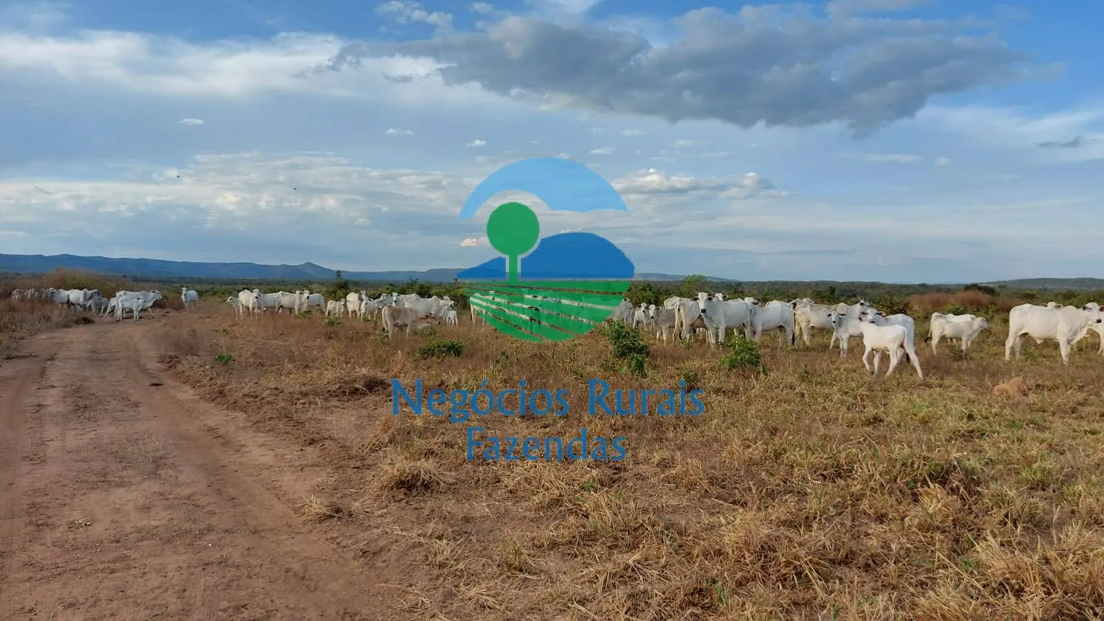 Fazenda à venda de 638 ha em Paranã, TO, Brasil