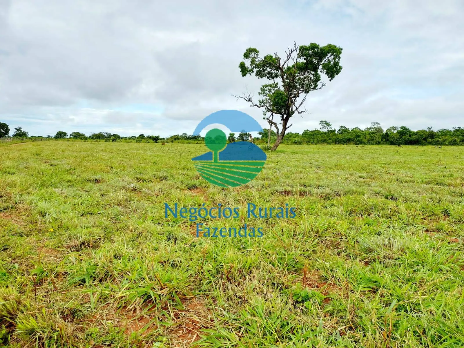 Fazenda à venda de 638 ha em Paranã, TO, Brasil