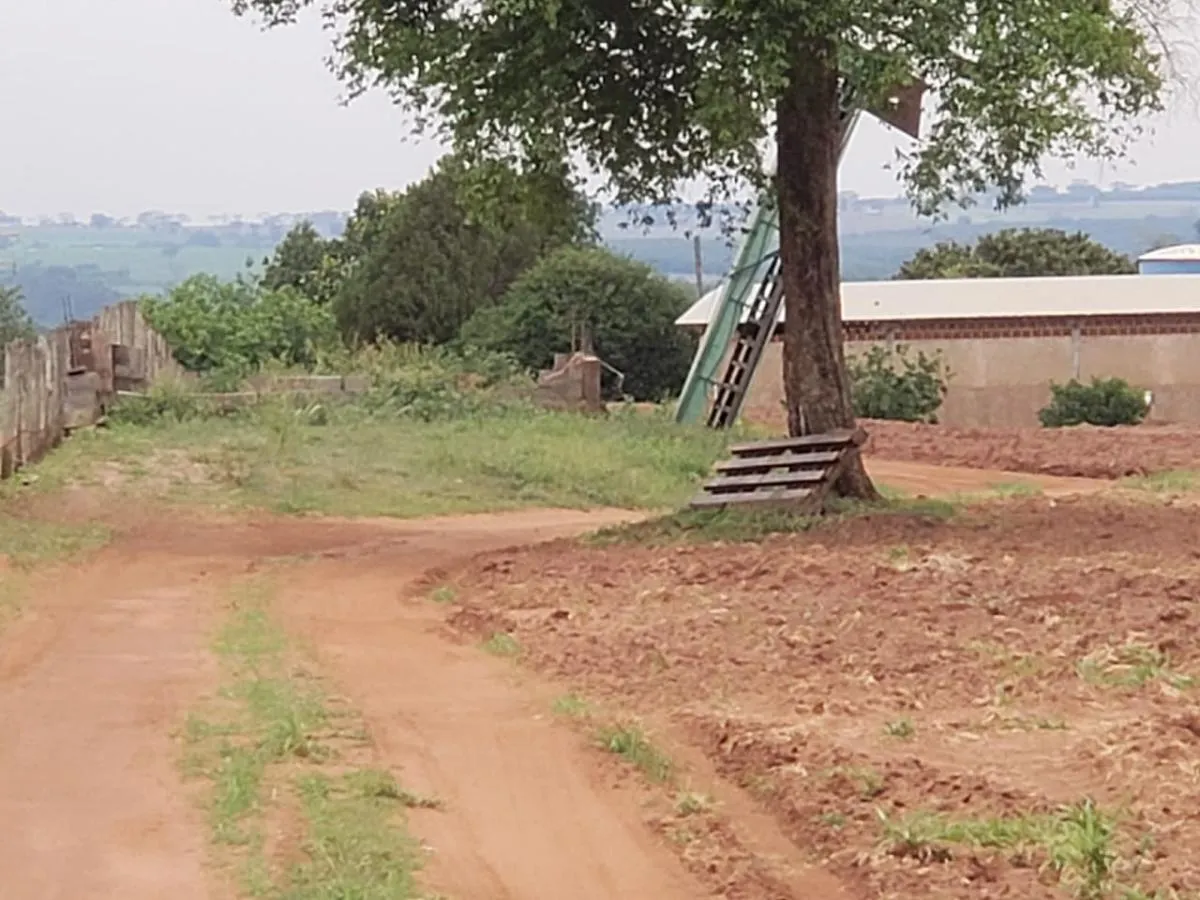 Small farm for sale of 54 acres in Palestina, SP, Brazil