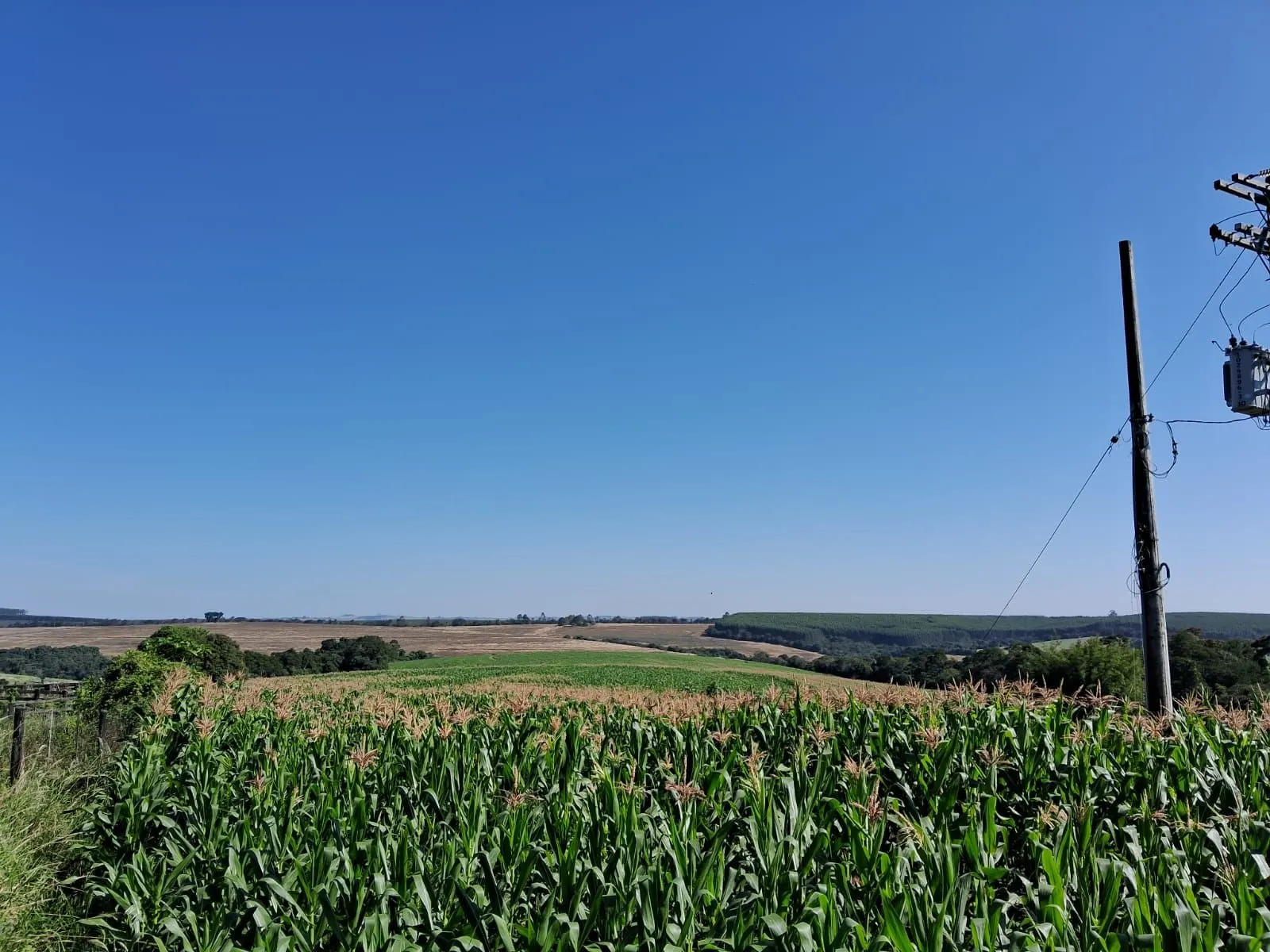 Sítio à venda de 53 ha em Sarapuí, SP, Brasil
