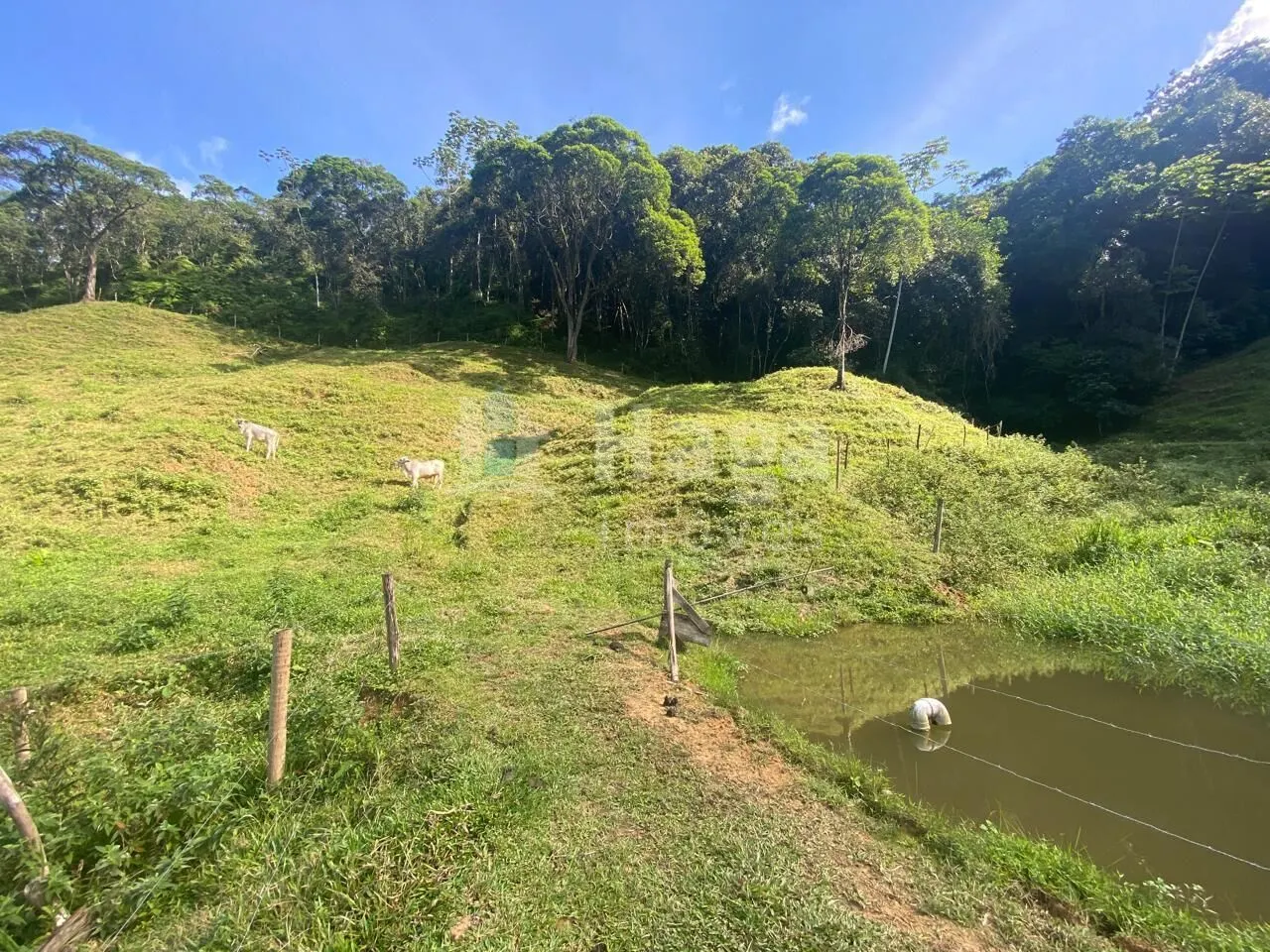 Fazenda à venda de 13 ha em Nova Trento, SC, Brasil