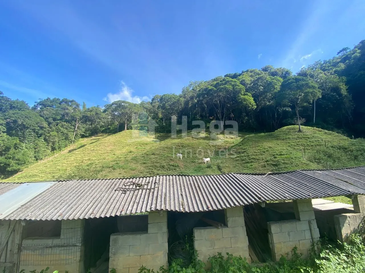Fazenda à venda de 13 ha em Nova Trento, SC, Brasil