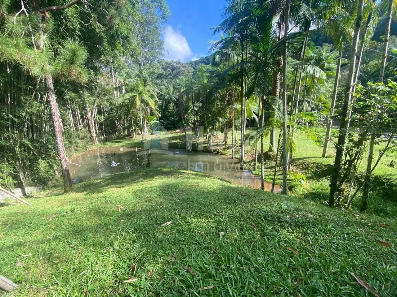 Fazenda à venda de 13 ha em Nova Trento, SC, Brasil