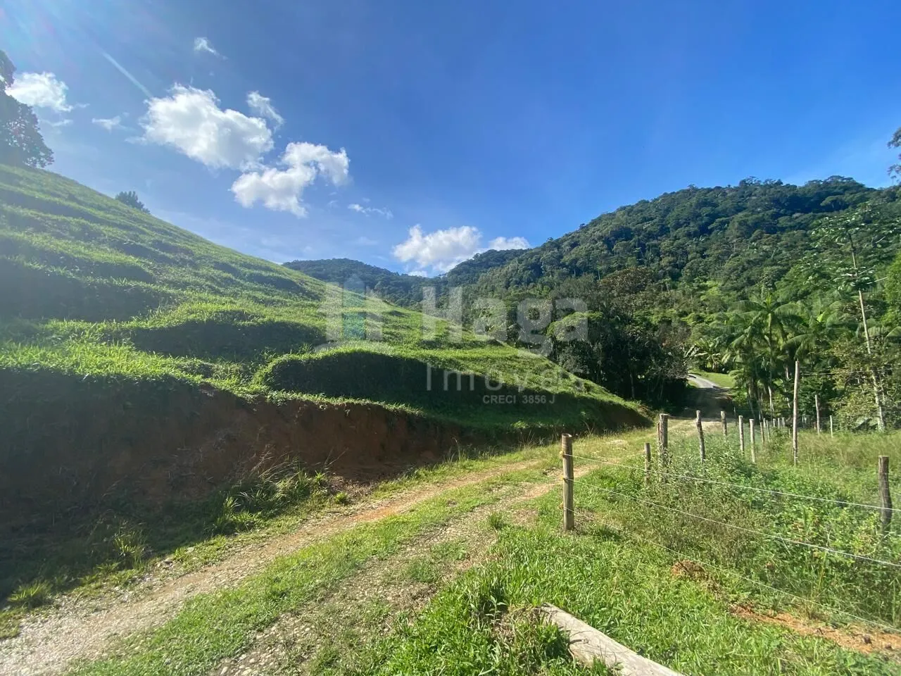 Fazenda à venda de 13 ha em Nova Trento, SC, Brasil