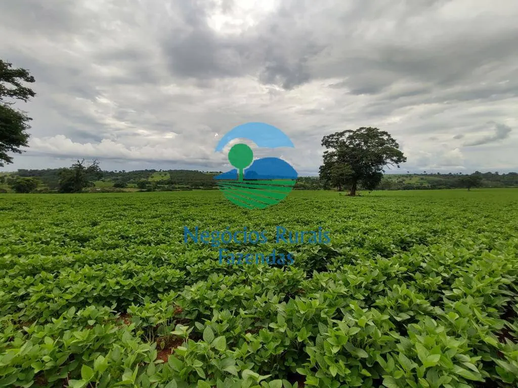 Small farm for sale of 168 acres in Formiga, MG, Brazil
