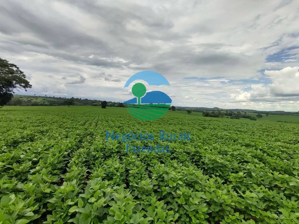 Small farm for sale of 168 acres in Formiga, MG, Brazil