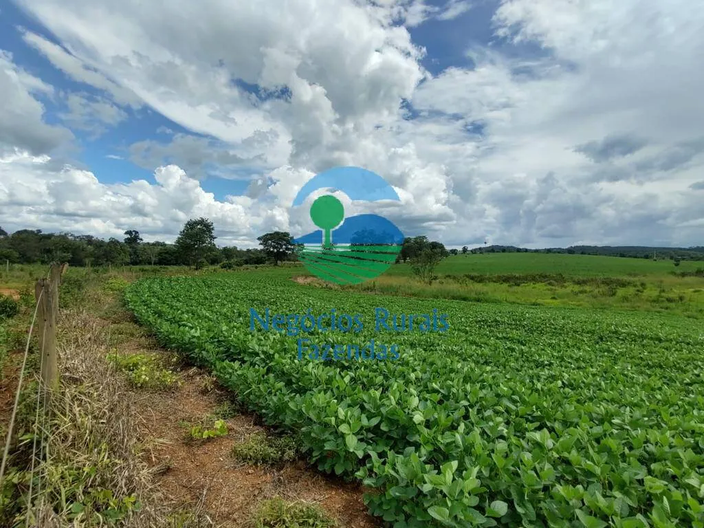 Small farm for sale of 168 acres in Formiga, MG, Brazil