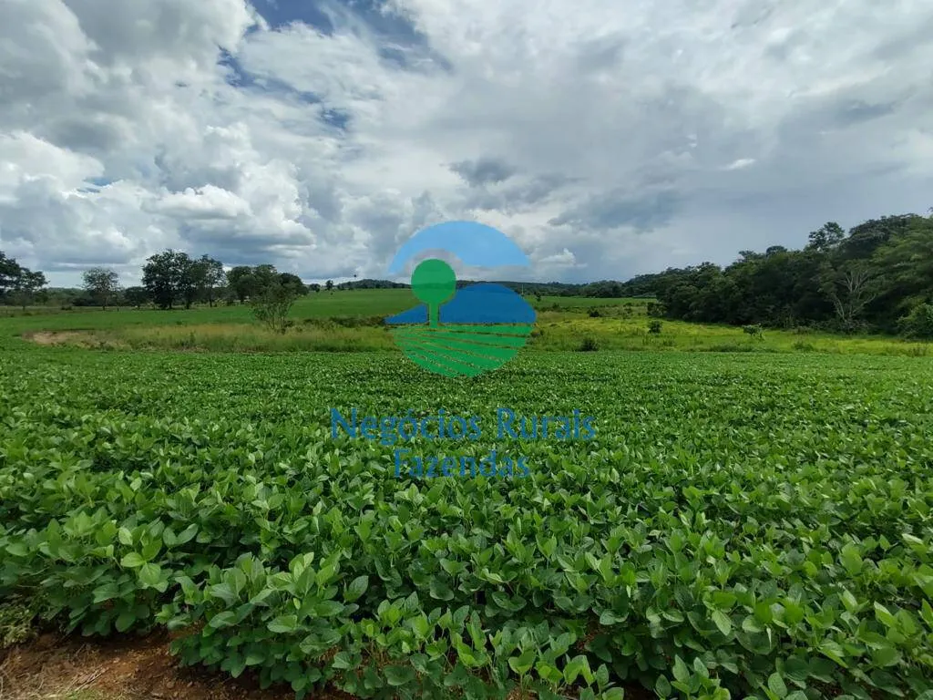 Small farm for sale of 168 acres in Formiga, MG, Brazil