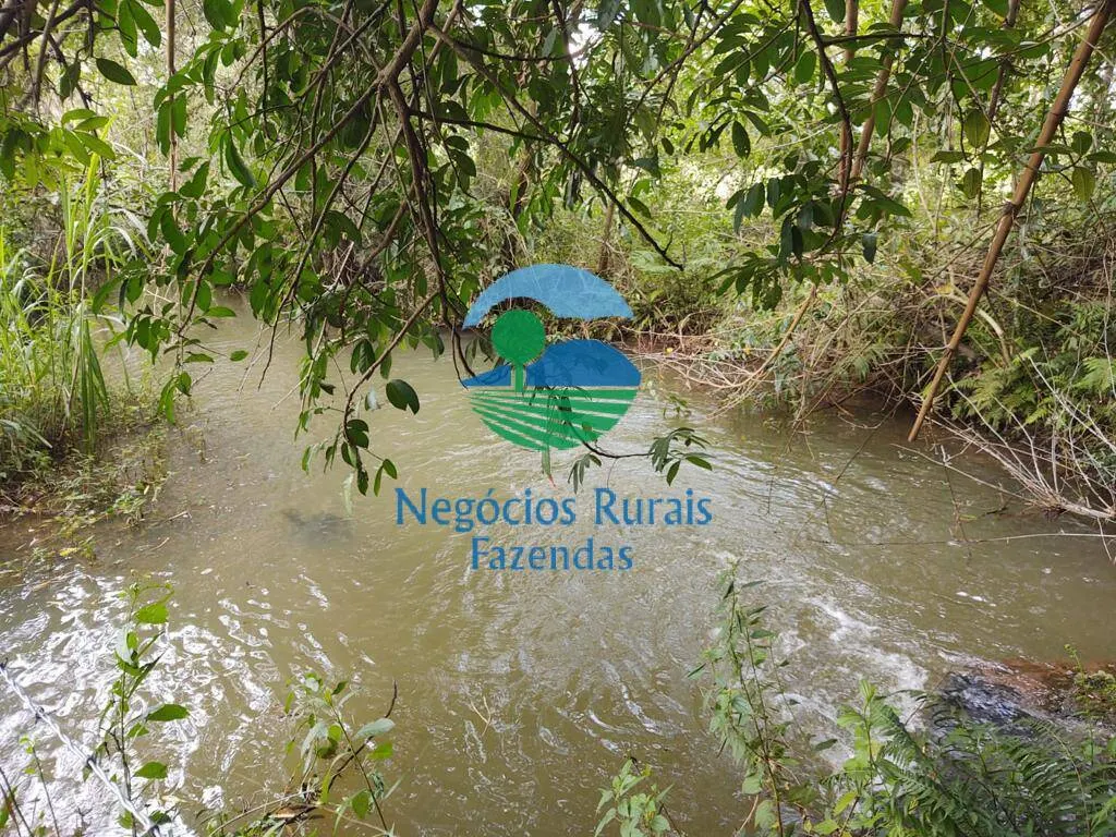 Small farm for sale of 168 acres in Formiga, MG, Brazil