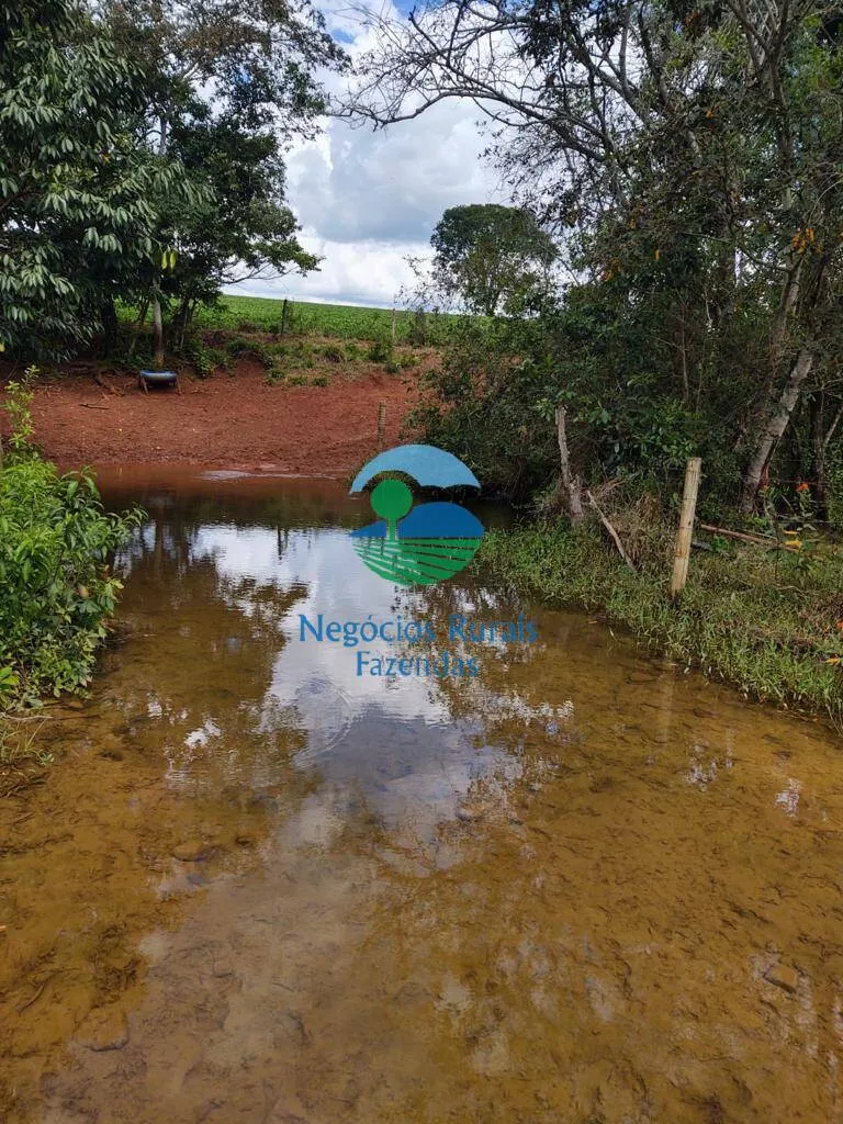 Small farm for sale of 168 acres in Formiga, MG, Brazil