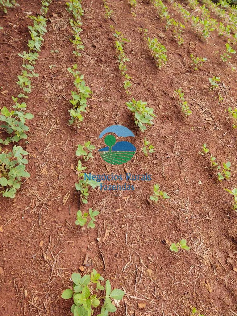 Small farm for sale of 168 acres in Formiga, MG, Brazil