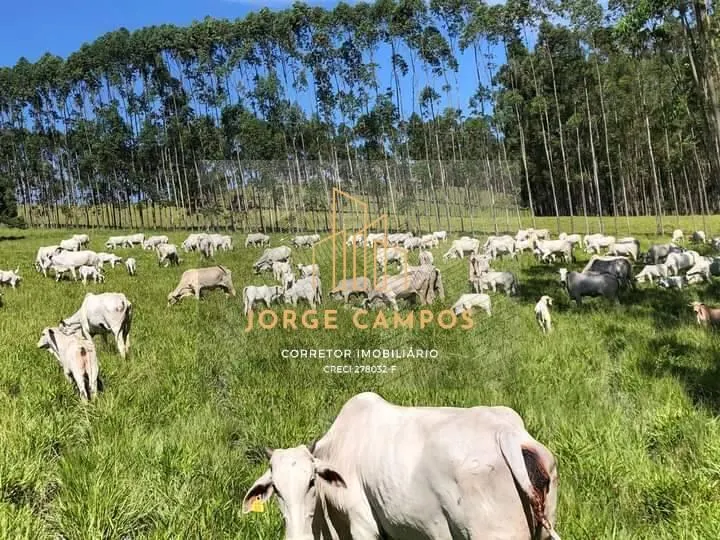 Fazenda à venda de 200 ha em Guaratinguetá, SP, Brasil