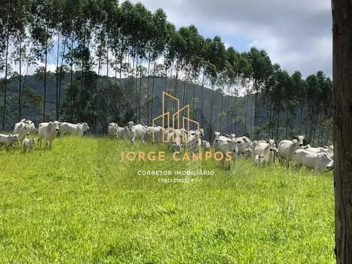 Fazenda à venda de 200 ha em Guaratinguetá, SP, Brasil
