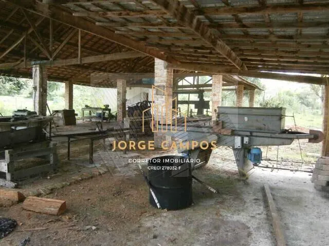 Fazenda à venda de 200 ha em Guaratinguetá, SP, Brasil