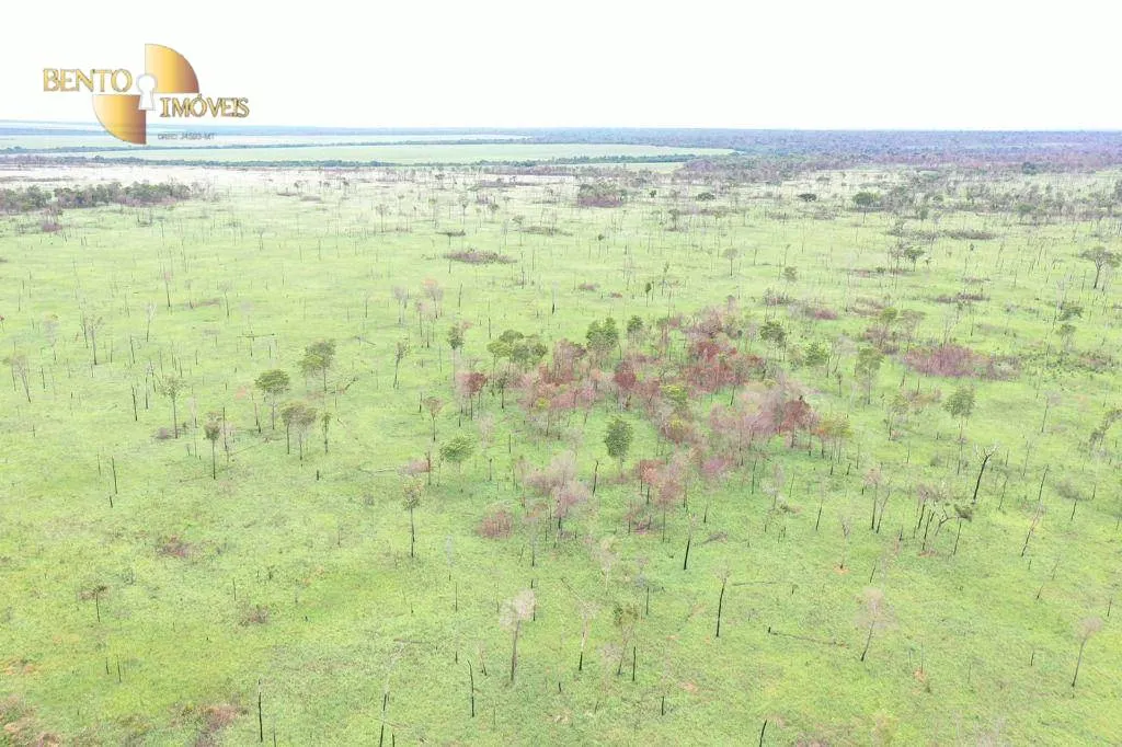 Fazenda à venda de 6.800 ha em Paranatinga, MT, Brasil