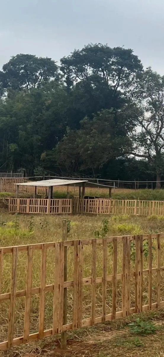 Chácara à venda de 400 m² em Araraquara, SP, Brasil