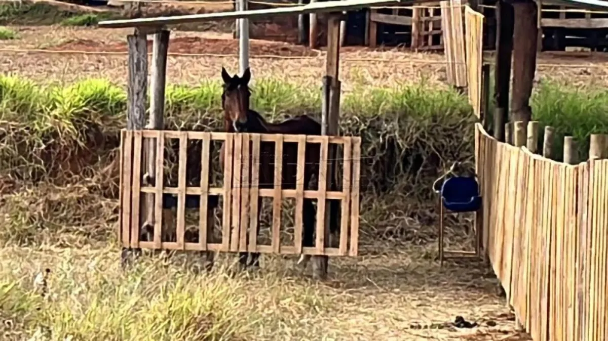 Chácara à venda de 400 m² em Araraquara, SP, Brasil