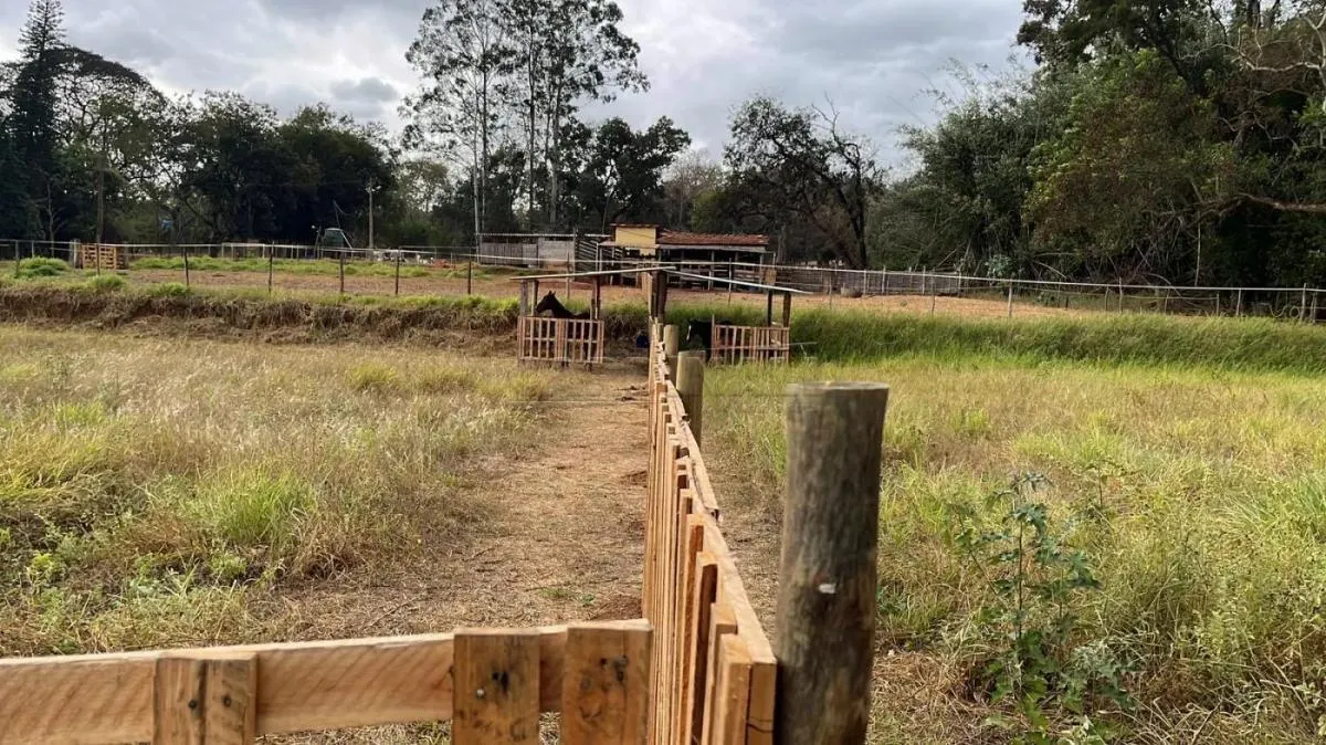 Chácara à venda de 400 m² em Araraquara, SP, Brasil