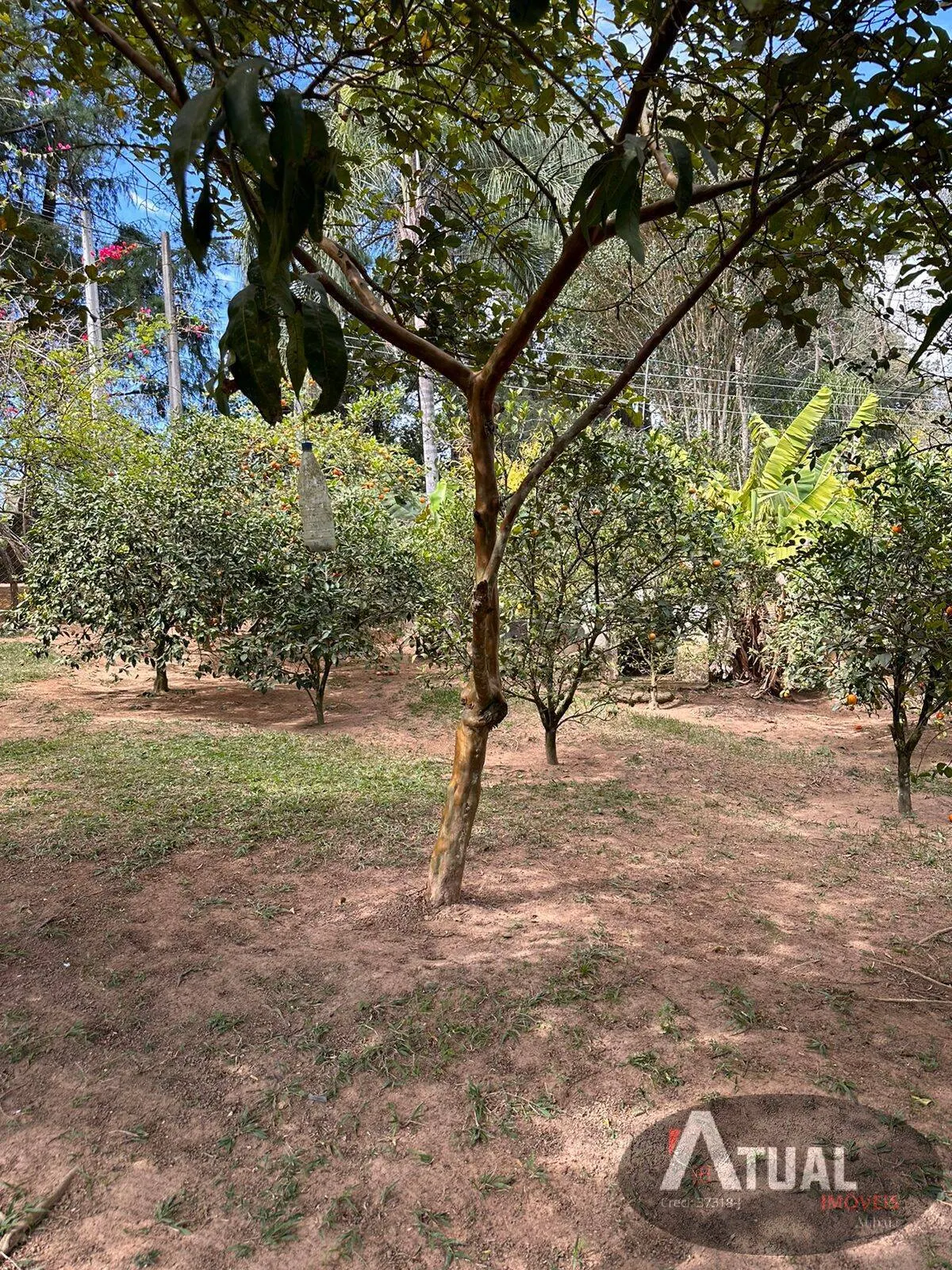 Chácara à venda de 5.700 m² em Nazaré Paulista, SP, Brasil