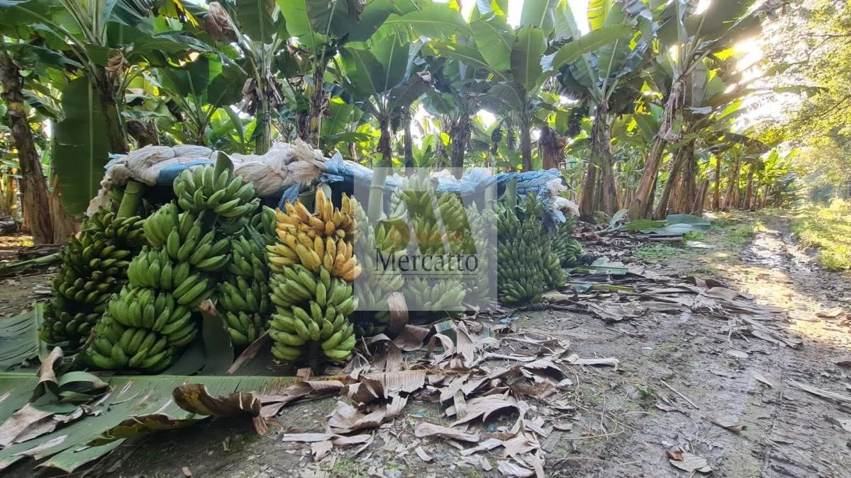 Chácara à venda de 400 m² em Miracatu, SP, Brasil