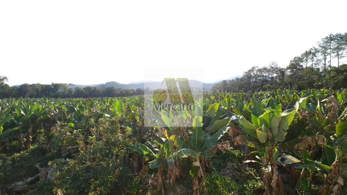 Chácara à venda de 400 m² em Miracatu, SP, Brasil