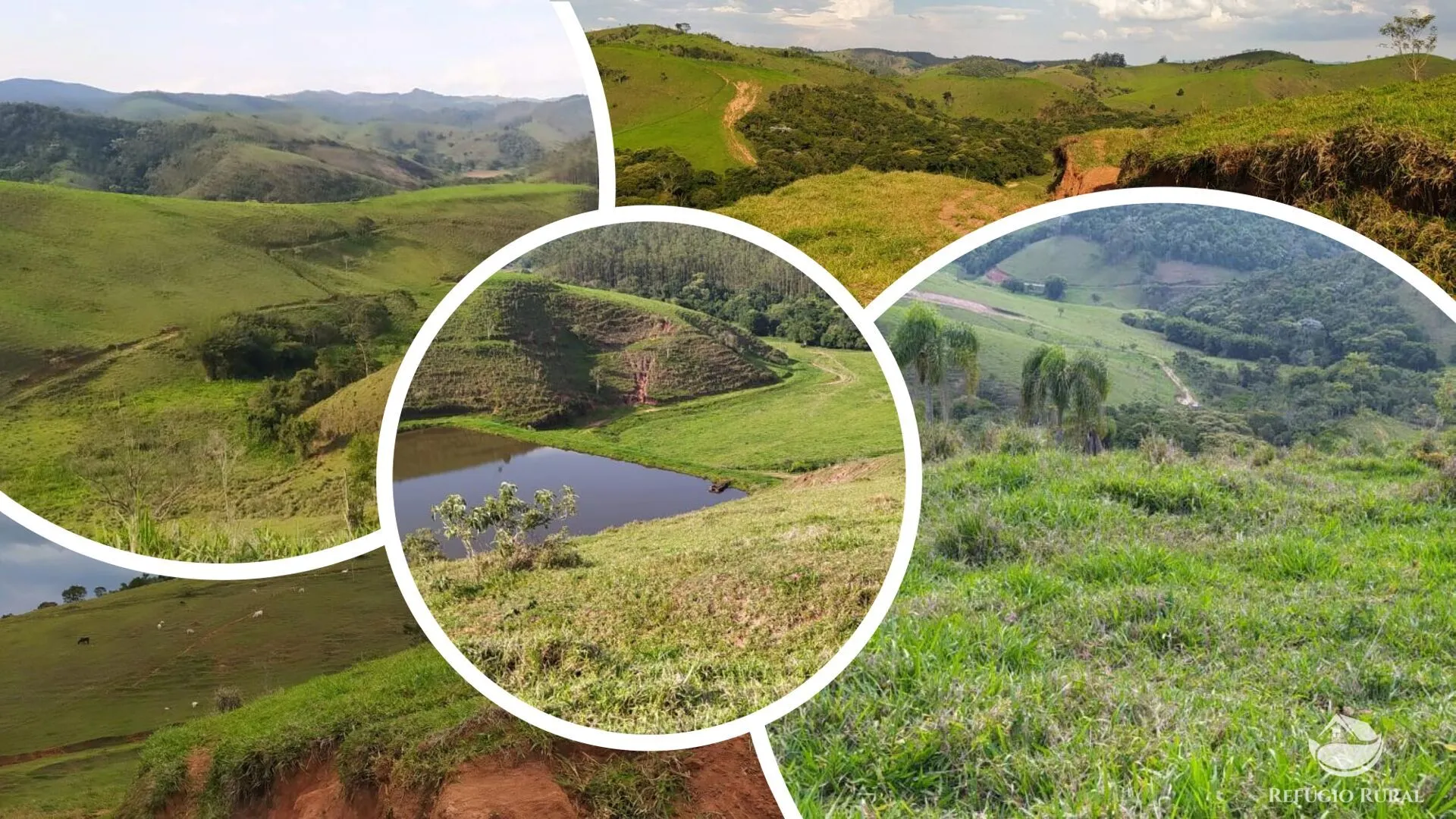 Fazenda à venda de 442 ha em Cunha, SP, Brasil