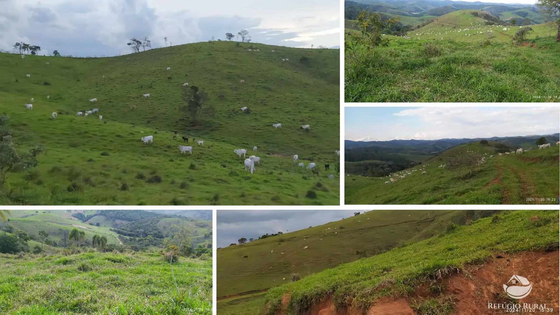 Fazenda à venda de 442 ha em Cunha, SP, Brasil