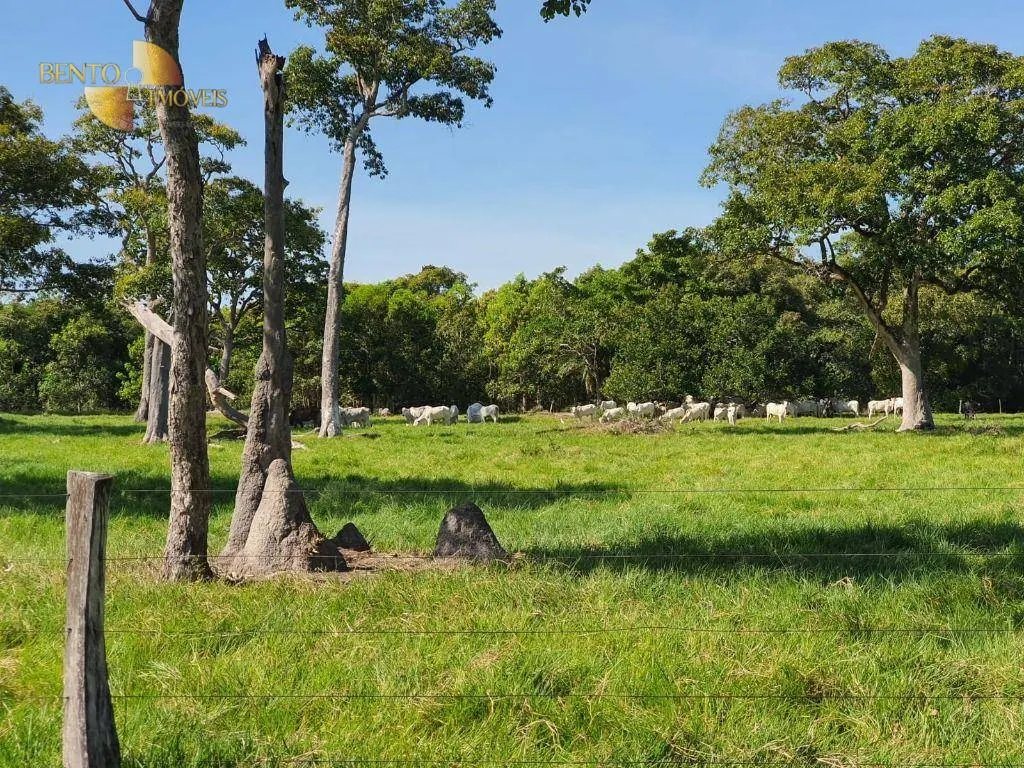 Farm for sale of 15,316 acres in Santo Antônio do Leverger, MT, Brazil