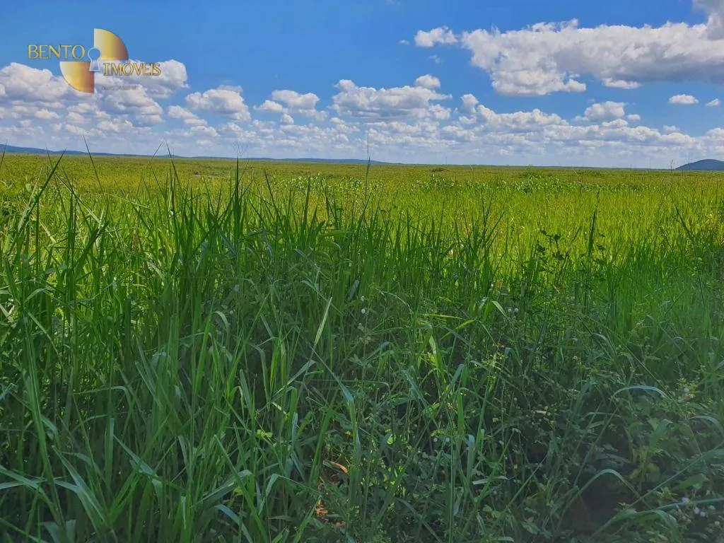 Farm for sale of 15,316 acres in Santo Antônio do Leverger, MT, Brazil