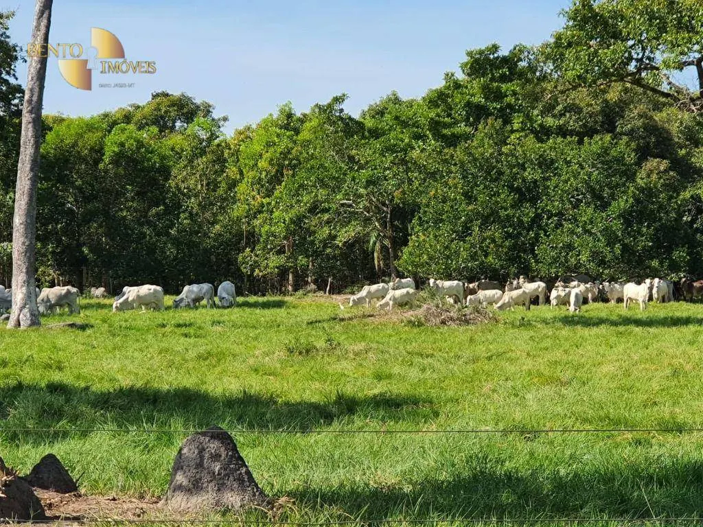 Farm for sale of 15,316 acres in Santo Antônio do Leverger, MT, Brazil