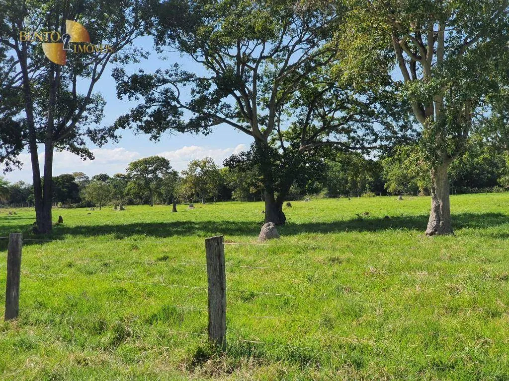 Farm for sale of 15,316 acres in Santo Antônio do Leverger, MT, Brazil