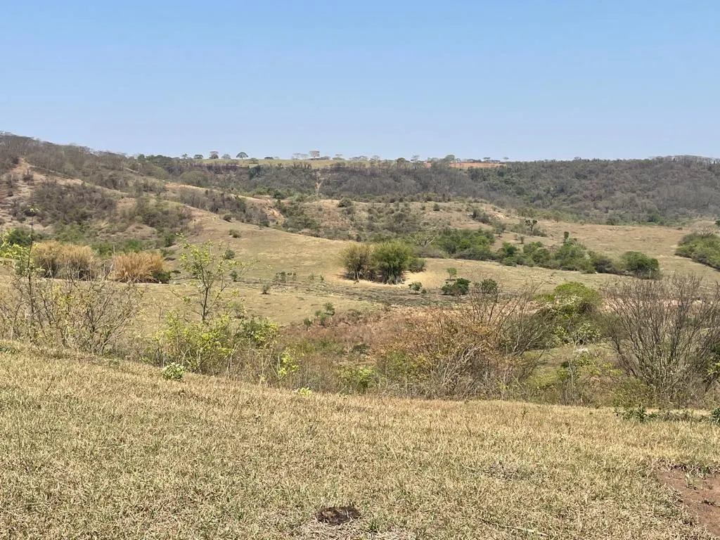 Fazenda à venda de 668 ha em Marília, SP, Brasil