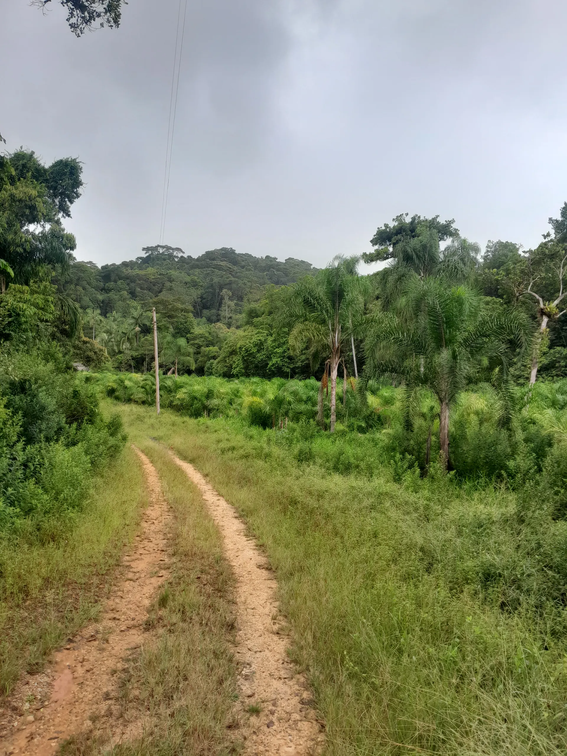 Sítio à venda de 17 ha em Registro, SP, Brasil