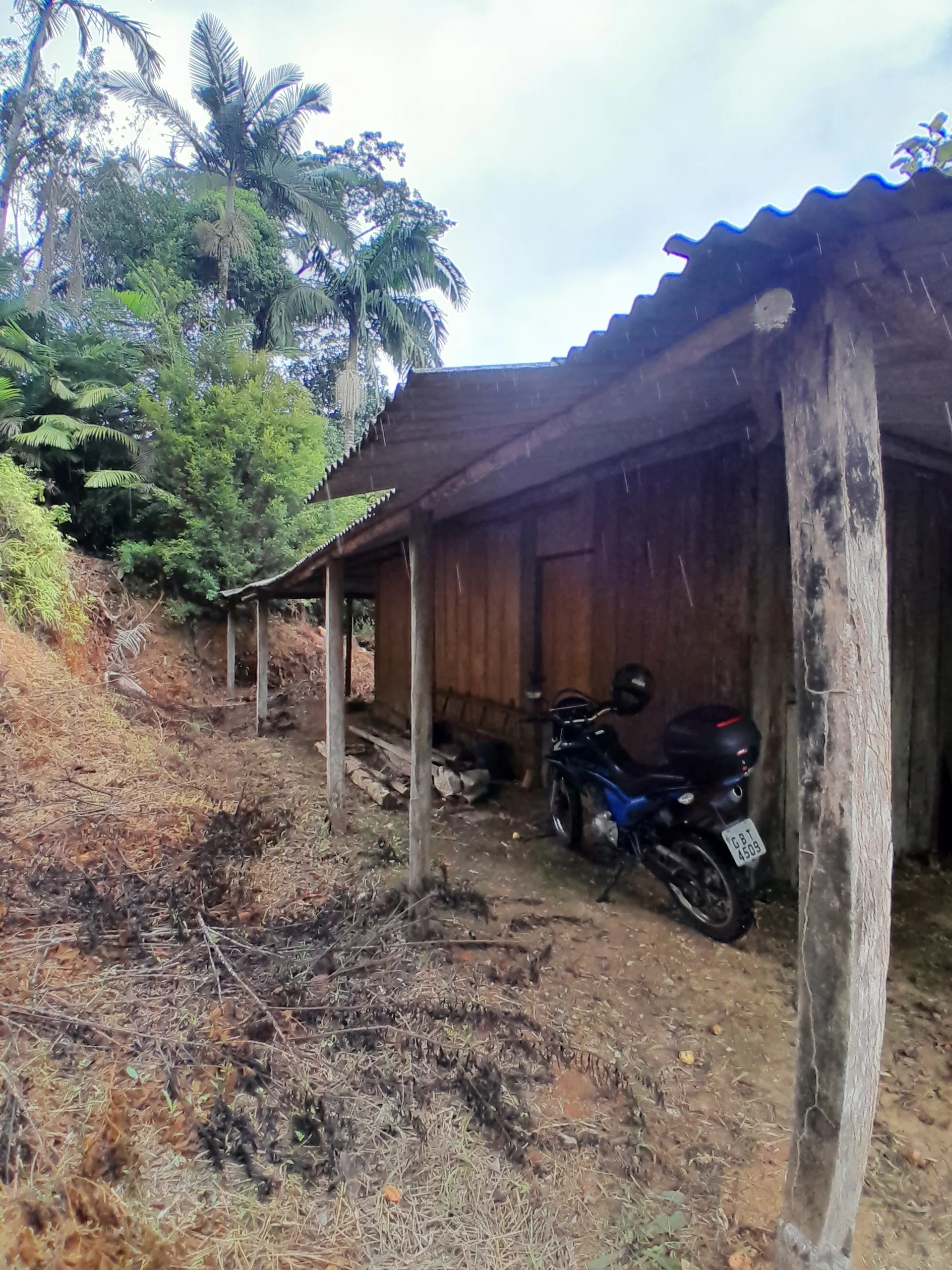 Small farm for sale of 42 acres in Registro, SP, Brazil