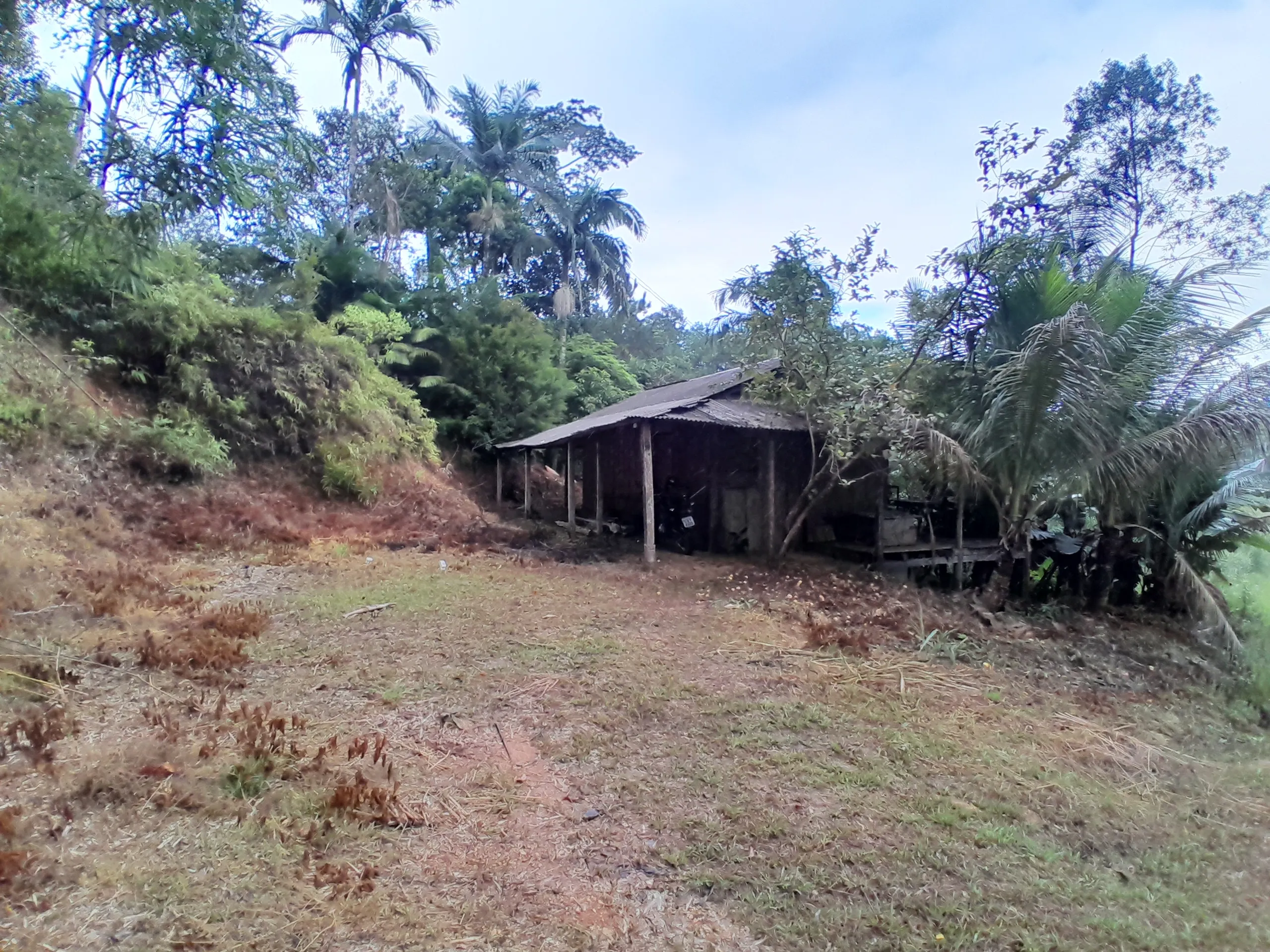 Small farm for sale of 42 acres in Registro, SP, Brazil