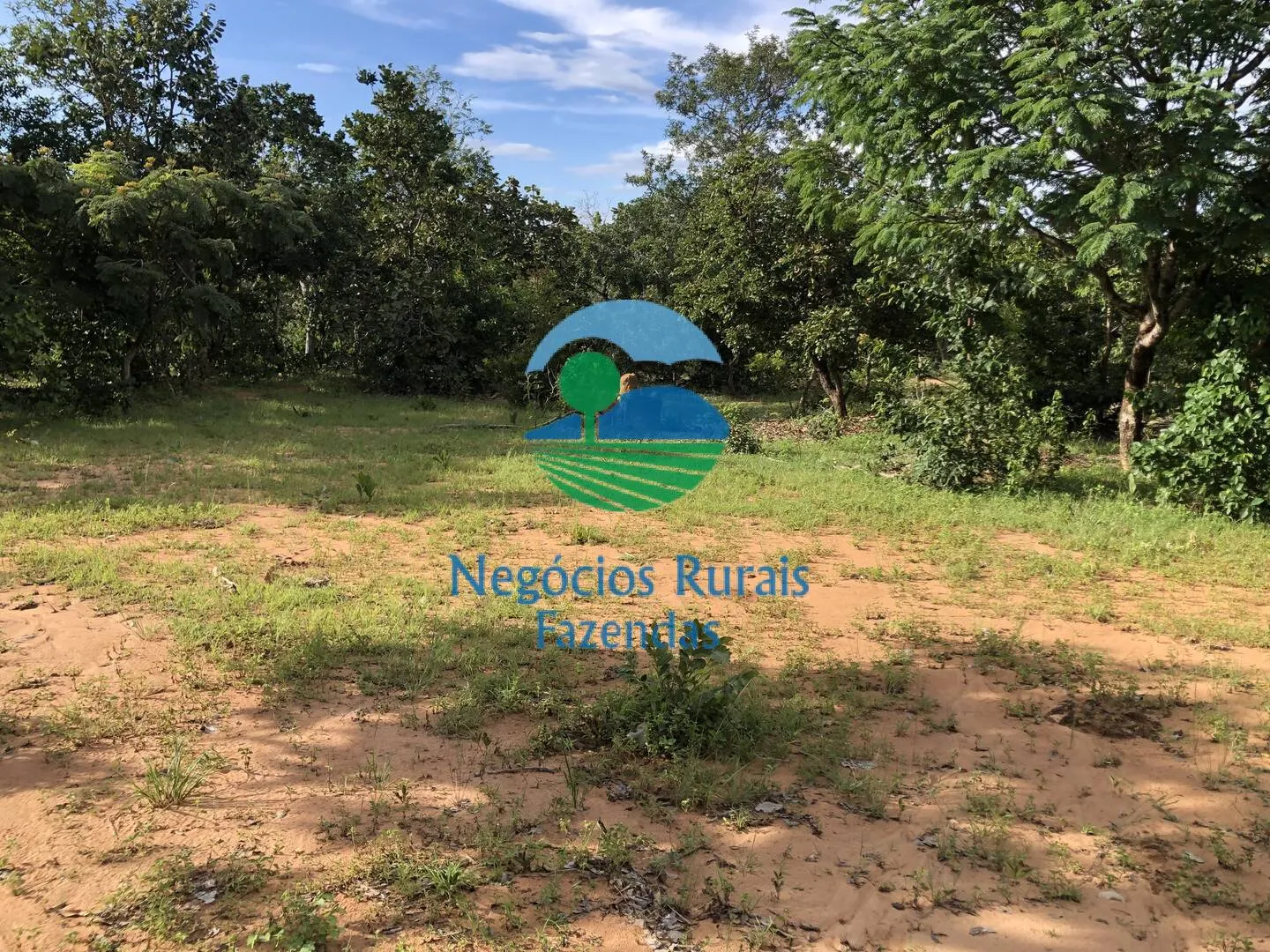 Farm for sale and to rent of 1,196 acres in Uruaçu, GO, Brazil