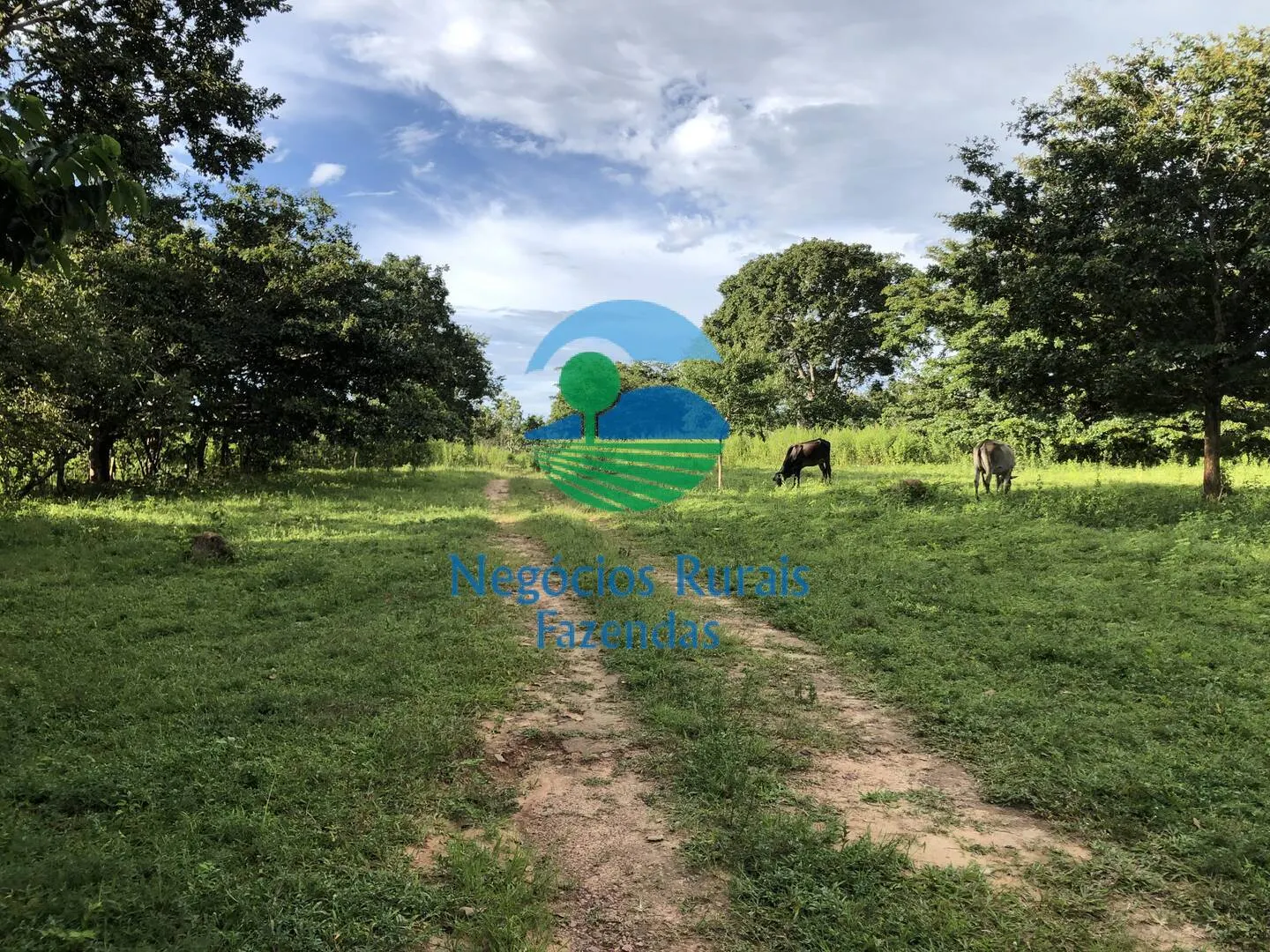 Fazenda à venda e para Arrendar de 484 ha em Uruaçu, GO, Brasil