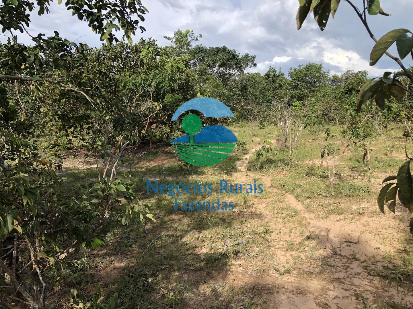 Farm for sale and to rent of 1,196 acres in Uruaçu, GO, Brazil