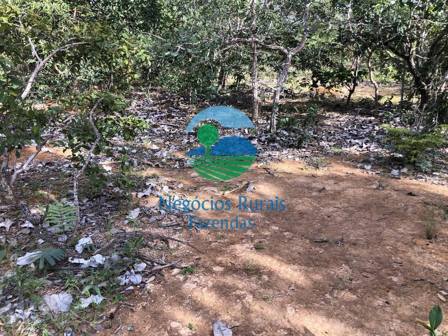 Farm for sale and to rent of 1,196 acres in Uruaçu, GO, Brazil